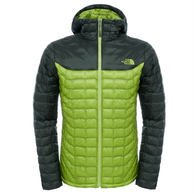 Winterjacke The North Face Thermoball Hoodie Climbing Ivy Grün Herren