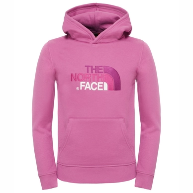 Hoodie The North Face Youth Drew Peak Wisteria Purple