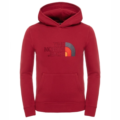 Hoodie The North Face Youth Drew Peak Biking Red
