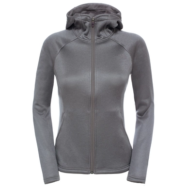 North face agave discount hoodie