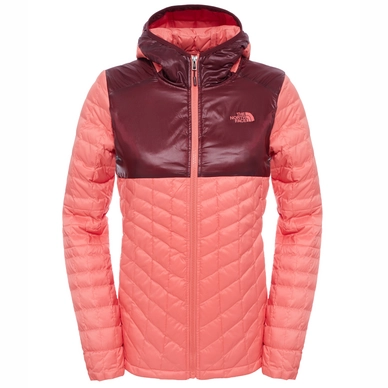 Winterjacke The North Face Womens Thermoball Plus Hoodie Spiced Koralle Damen
