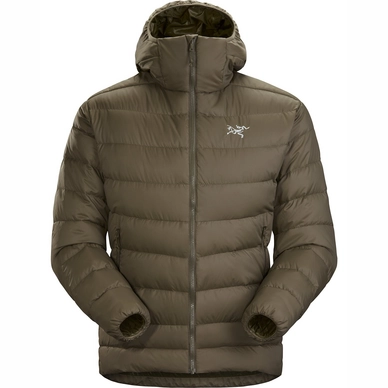 Jacke Arc'teryx Thorium AR Hoody Dracaena Herren