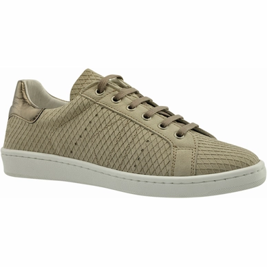 Trainers JJ Footwear Vancouver Taupe Cdifucile G