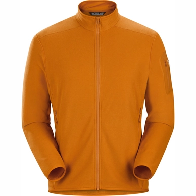 Vest Arc'teryx Men Delta LT Revel