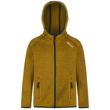 Vest Regatta Dissolver Antique Moss