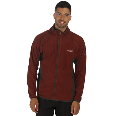 Sweatjacke Regatta Herren Mons II Burnt Tikki / Seal Grau Herren