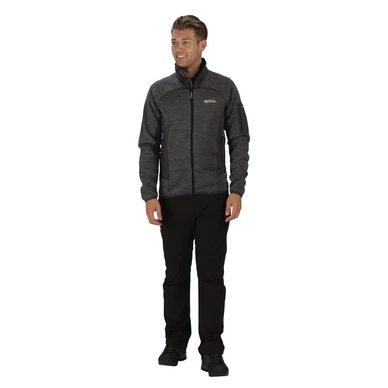 Sweatjacke Regatta Collumbus III Seal Grey Herren