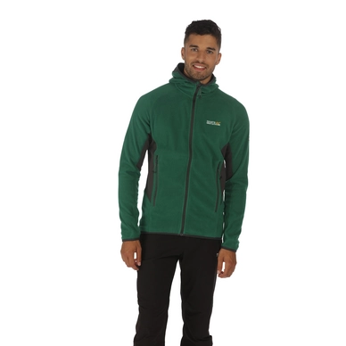 Sweatjacke Regatta Addison III Hunter Green/Seal Grey Herren