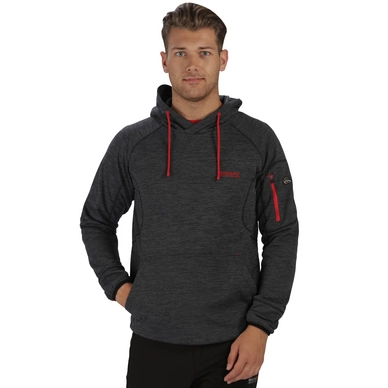 Hoodie Regatta Mens Montem II Seal Grey