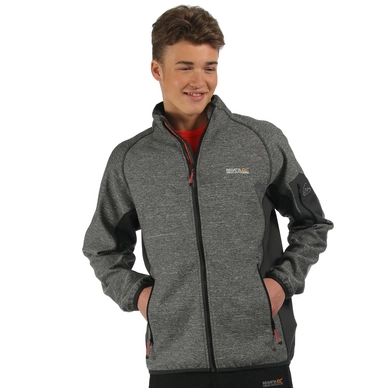 Veste Softshell Regatta Farway Hybrid Seal Grey