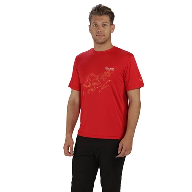 T-Shirt Regatta Mens Fingal II Pepper