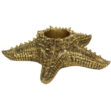 Bloempot HD Living Seastar Gold 35,5 x 37 x 10 cm