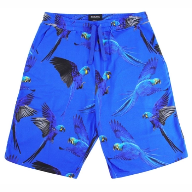 Shorts SNURK Blue Parrot Herren