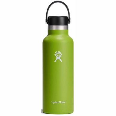Bouteille Isotherme Hydro Flask Standard Flex Cap Seagrass 532 ml