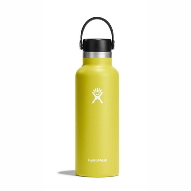 Thermosfles Hydro Flask Standard Flex Cap Cactus 532 ml