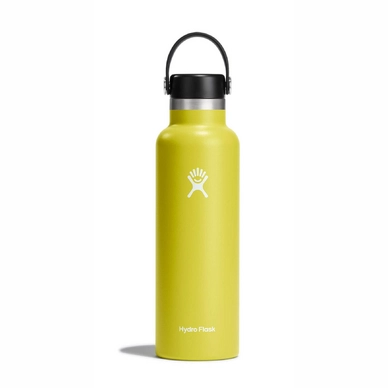 Thermosfles Hydro Flask Standard Flex Cap Cactus 621 ml