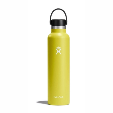 Thermosfles Hydro Flask Standard Flex Cap Cactus 709 ml