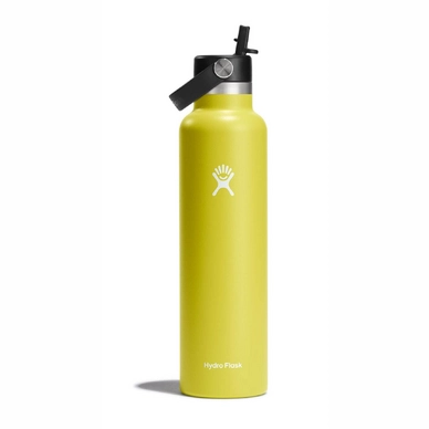 Thermosfles Hydro Flask Standard Flex Straw Cap Cactus 621 ml