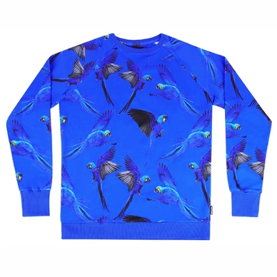 Pull SNURK Enfant Blue Parrot