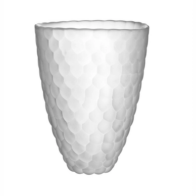Vaas Orrefors Raspberry Mat 20 cm