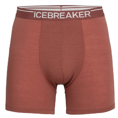 Sous-vêtement Icebreaker Men Anatomica Boxers Grape