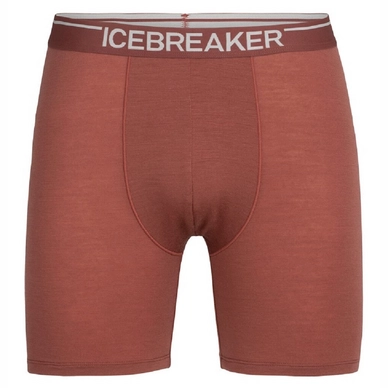 Boxershort Icebreaker Men Anatomica Long Boxers Grape