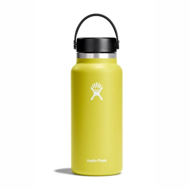 Thermosfles Hydro Flask Wide Mouth 2.0 Flex Cap Cactus 946 ml