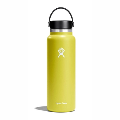 Thermosfles Hydro Flask Wide Mouth 2.0 Flex Cap Cactus 1,2L