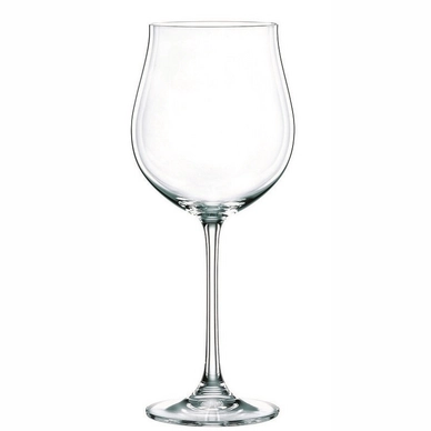 Wijnglas Nachtmann Vivendi 613 ml (4-Delig)
