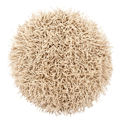 Tapis de Bain Heckett and Lane Busto Rond Off-White