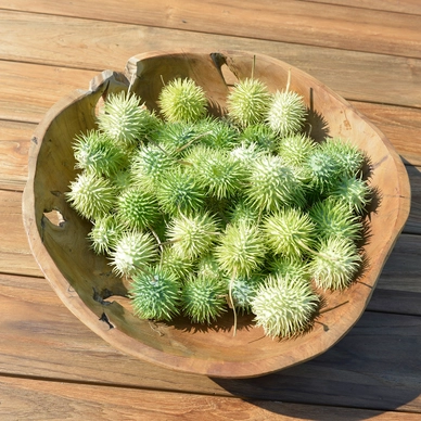Rührschüssel Max&Luuk Tess Teak Ø40 x 10 cm