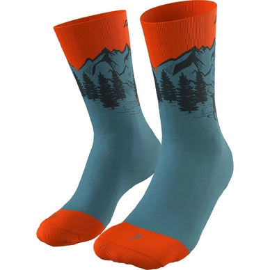 Socken Dynafit Stay Fast Storm Blau