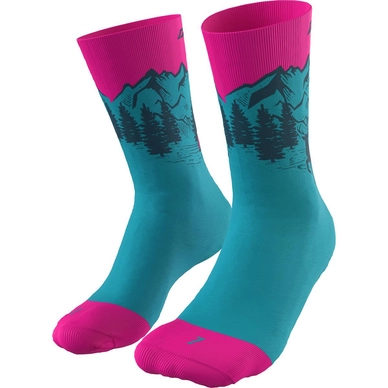 Socken Dynafit Stay Fast Ocean