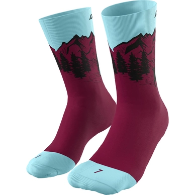 Socken Dynafit Stay Fast Beet Red