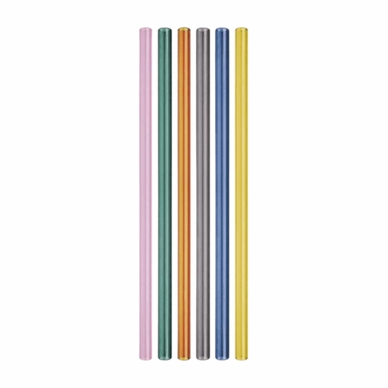 Rietjes Remember Glas (Set van 6)