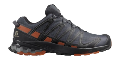 Trail Running Shoes Salomon Men XA Pro 3D V8 GTX Ebony Caramel Cafe Black