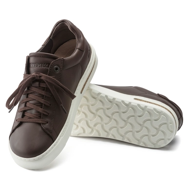 1020279_sole