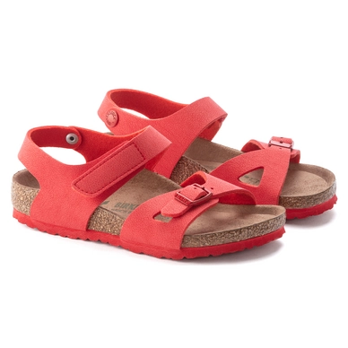 1023364_pair