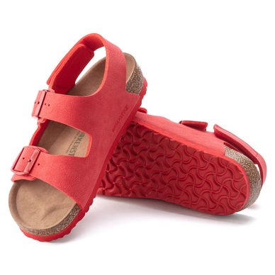 1023365_sole