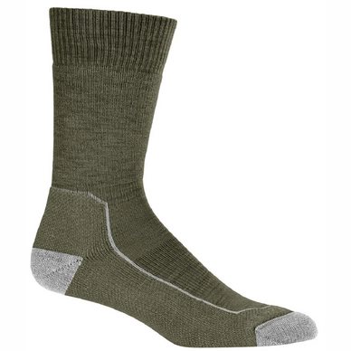Chaussettes Icebreaker Women Hike+ Medium Crew Loden Blizzard Heather