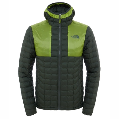 Winterjas The North Face Men Thermoball Plus Hoodie Green