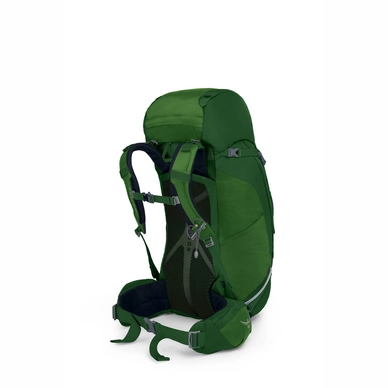 Backpack Osprey Kestrel 48 Jungle Green (S/M)