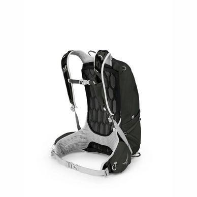 Talon 33 yerba green store