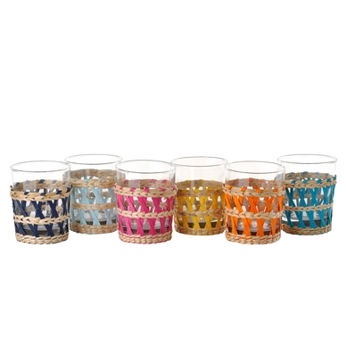 Tumbler POLSPOTTEN Reed Multi (Set van 6)