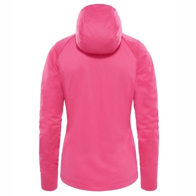 North face women's best sale tech mezzaluna hoodie