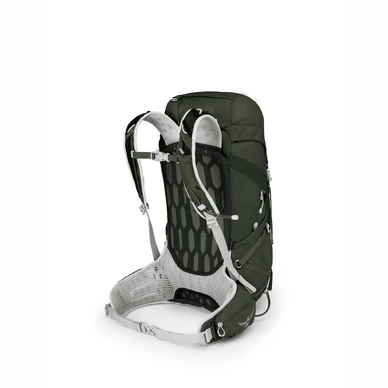 Talon 33 yerba green store