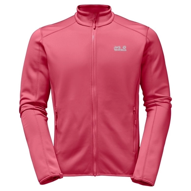 Jas Jack Wolfskin Icy Trail Women Alloy