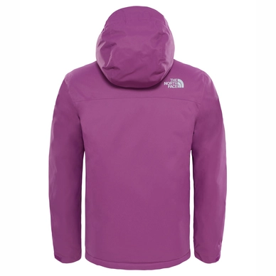 Winterjas The North Face Youth Snow Quest Wood Violet