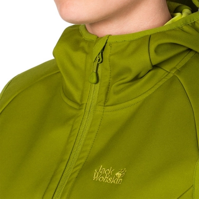 Bodywarmer Jack Wolfskin Roller Coaster 3In1 W Green Tea