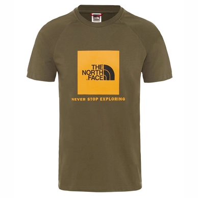 T-Shirt The North Face Men Raglan Red Box New Taupe Green